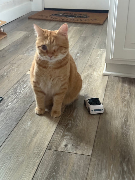 Henry’s Birthday- 10% Off RAM Clutches